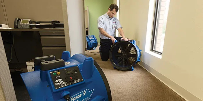 Rainbow International of Mira Mesa Picture 9