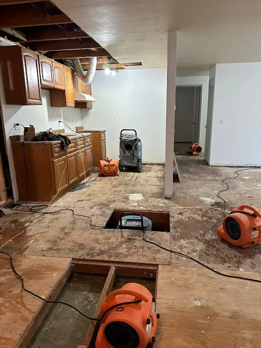 Restoration 24 Picture 5