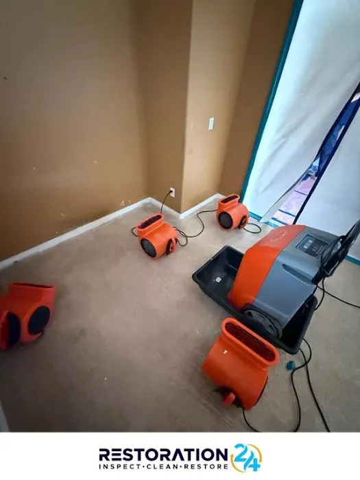 Restoration 24 Picture 2