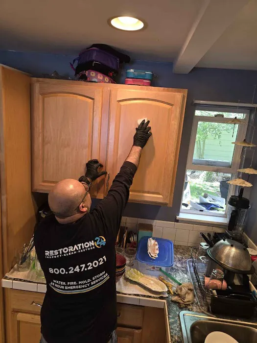 Restoration 24 Picture 8