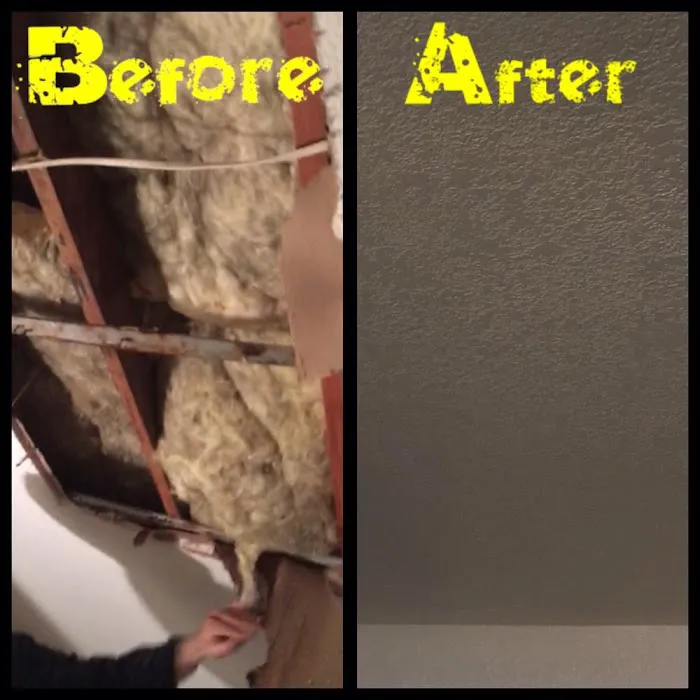 Flood Doctor Restoration and Construction Picture 1