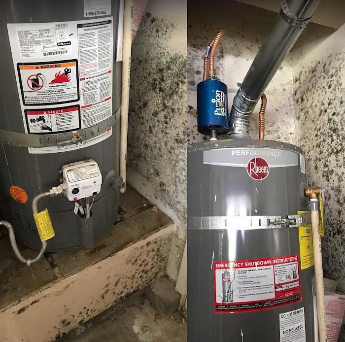 Mighty Dry San Diego Picture 2