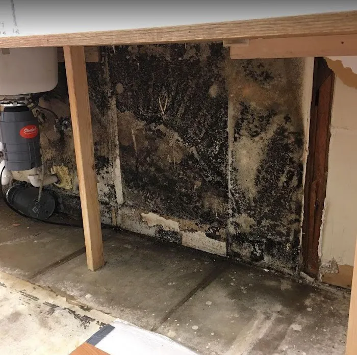 Mighty Dry San Diego Picture 10