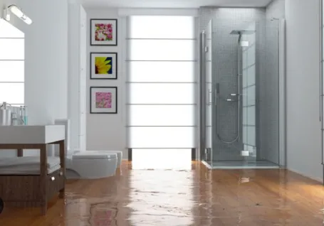 Revive Restoration Nation Picture 1