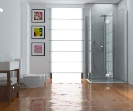 Revive Restoration Nation