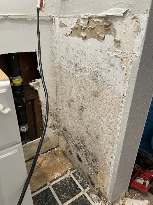 Restoration Rx Picture 9