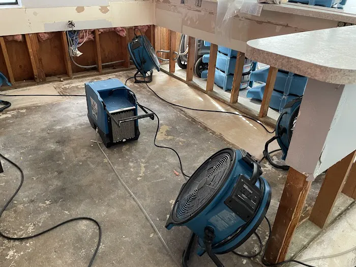 Restoration Rx Picture 10