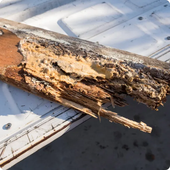 Fast Affordable Restoration Picture 6