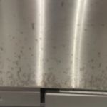 COIT Cleaning and Restoration