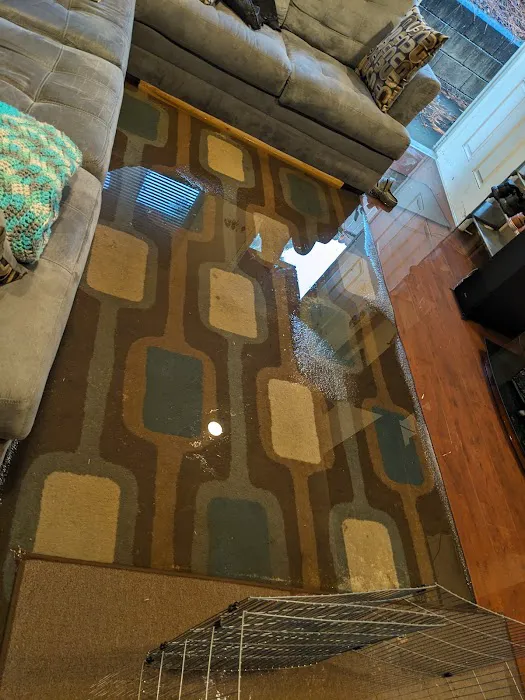 All Coast Restoration Resources Picture 8