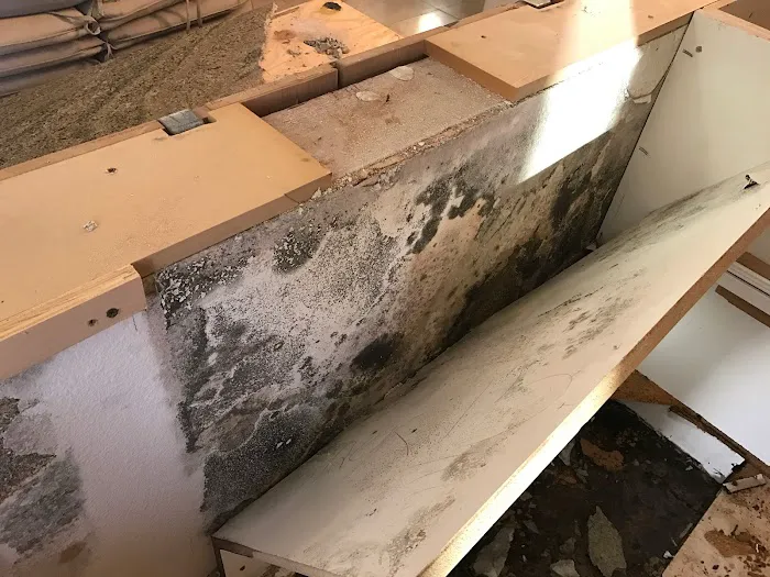 PuroClean of Carlsbad Picture 7