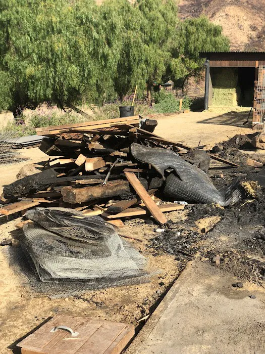 All City Cleaning Picture 5