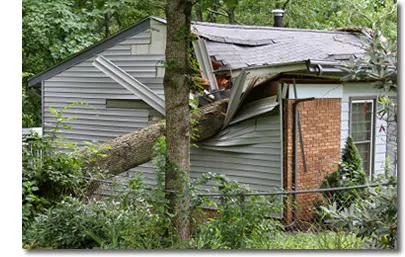 Restoration Solutions Picture 5