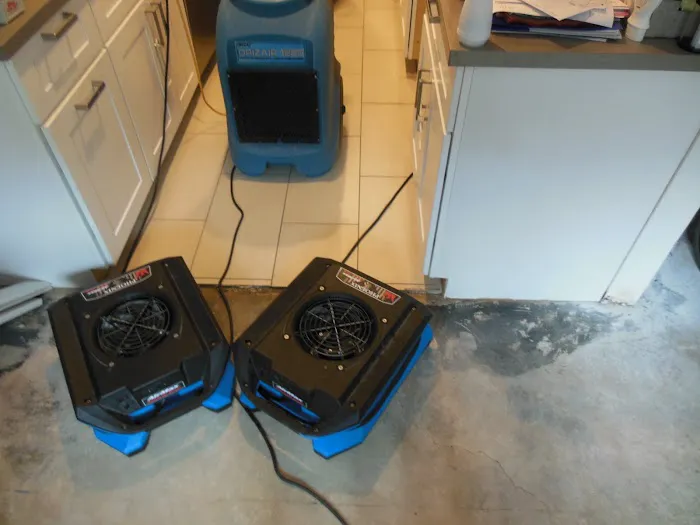 24/7 Thuro-Dry Flood & Water Damage Restoration Services Picture 2