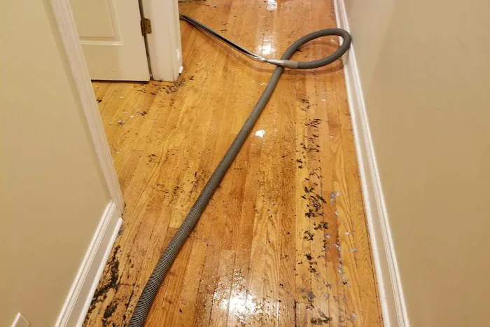 SuperBest Water Damage & Flood Repair San Diego Picture 5