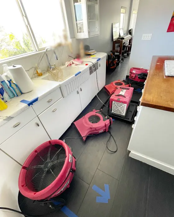 PuroClean of Clairemont Picture 1