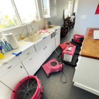 PuroClean of Clairemont ico