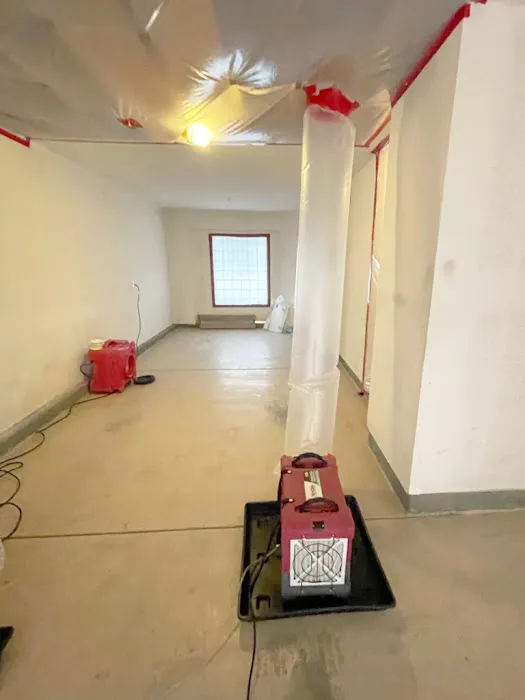 PuroClean of Clairemont Picture 6