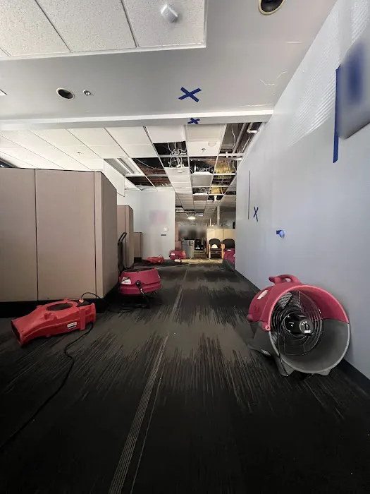 PuroClean of Del Cerro Picture 5