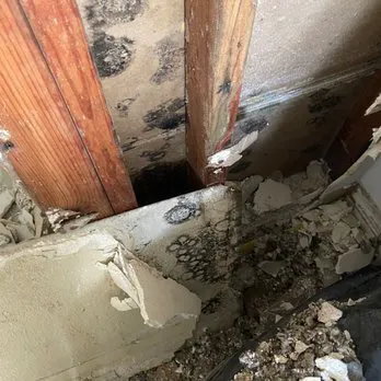 One Hat Restoration & Board Up Picture 7