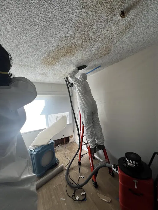 Lightspeed Restoration of Santee Picture 6