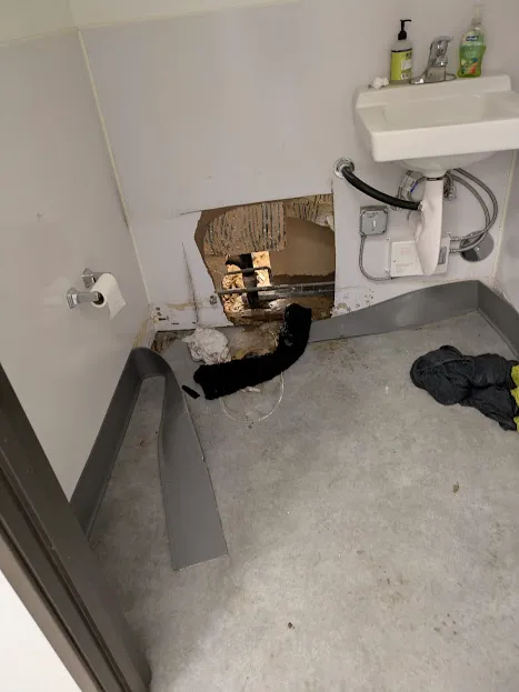 Lightspeed Restoration of Santee Picture 2