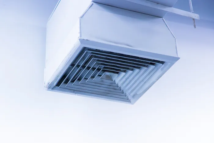 Lightspeed Restoration of Santee Picture 4