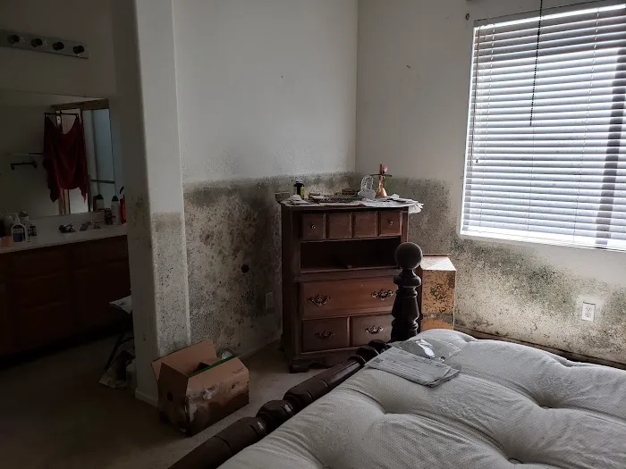 1 Day Mold Removal Testing Inspection Picture 4