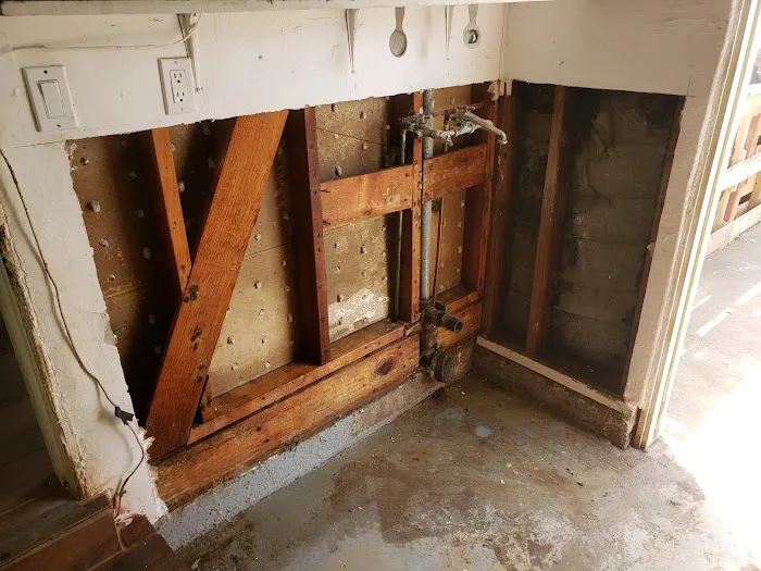 1 Day Mold Removal Testing Inspection Picture 2