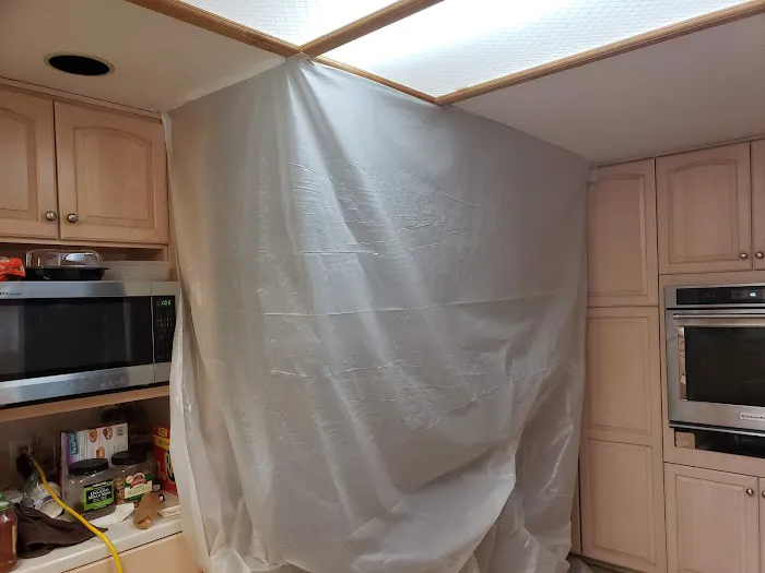 1 Day Mold Removal Testing Inspection Picture 1