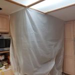 1 Day Mold Removal Testing Inspection