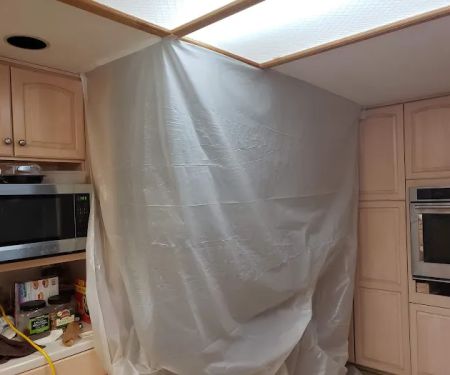 1 Day Mold Removal Testing Inspection