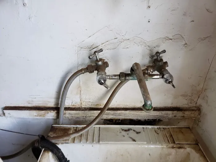 1 Day Mold Removal Testing Inspection Picture 8