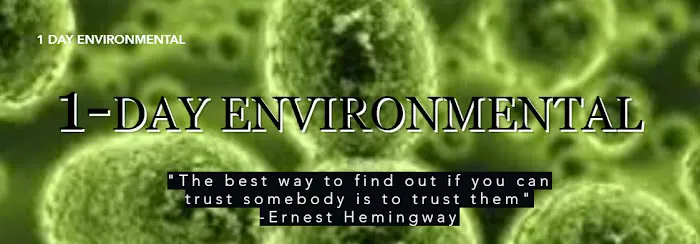 1 Day Mold Removal Testing Inspection Picture 7