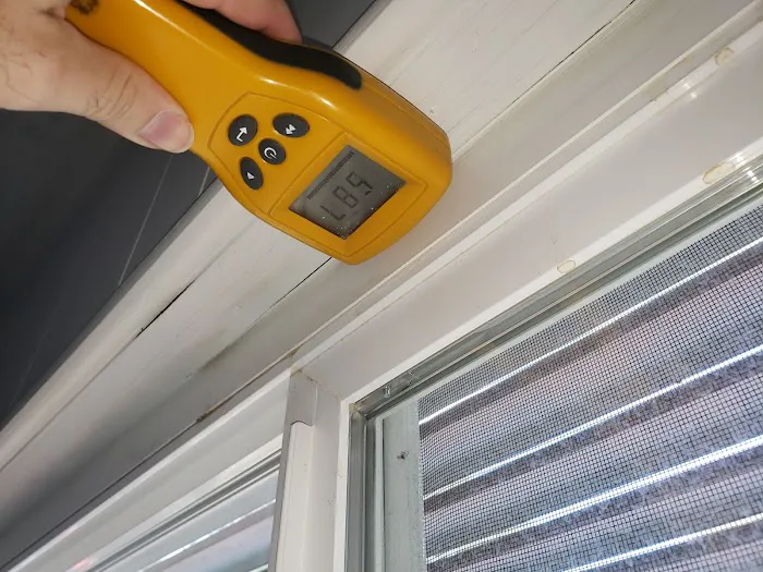 1 Day Mold Removal Testing Inspection Picture 9