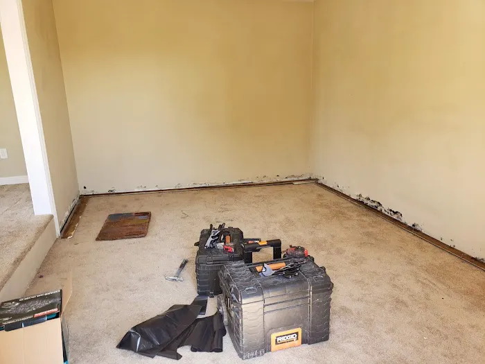 1 Day Mold Removal Testing Inspection Picture 10