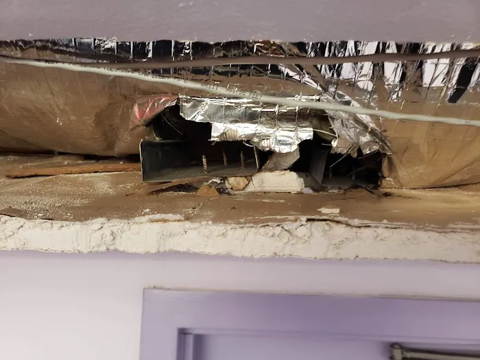 1 Day Mold Removal Testing Inspection Picture 6