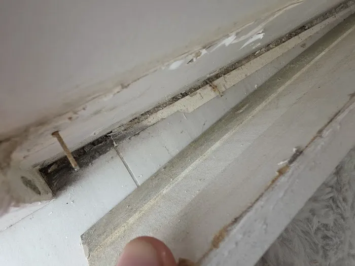 Risk Free Serv Picture 10