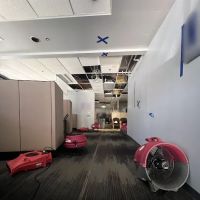 PuroClean of Bonita ico