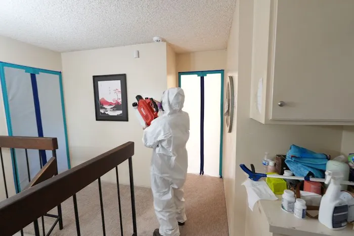 White Glove Restoration La Mesa Picture 6