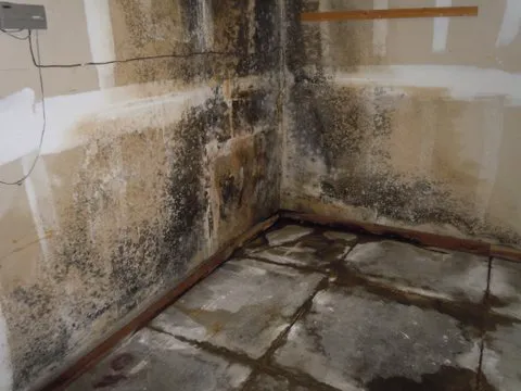 3D Environmental Inc Picture 7