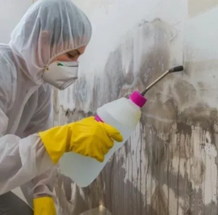 West Coast, LLC Picture 6