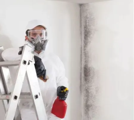 West Coast, LLC Picture 4