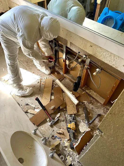 Green Planet Restoration San Diego Picture 4