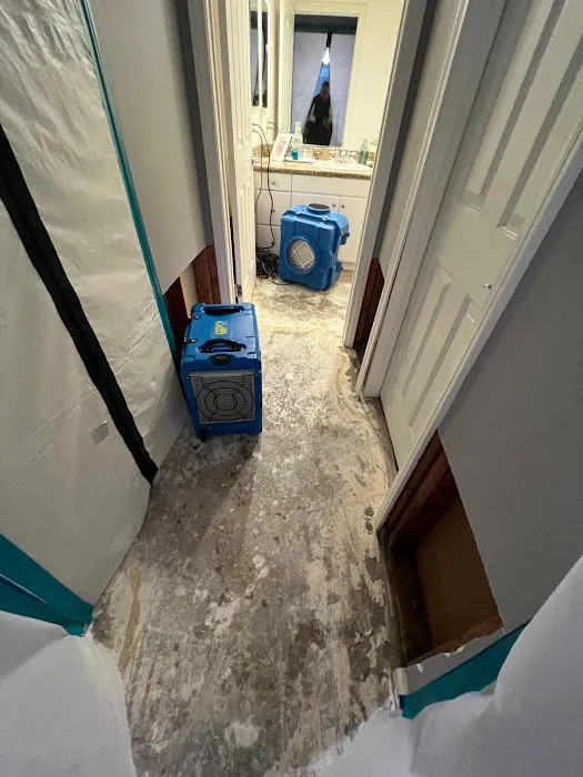 Green Planet Restoration San Diego Picture 5