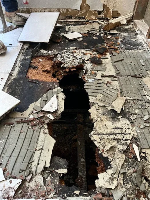 Green Planet Restoration San Diego Picture 8