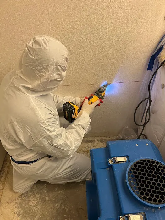 Green Planet Restoration San Diego Picture 2