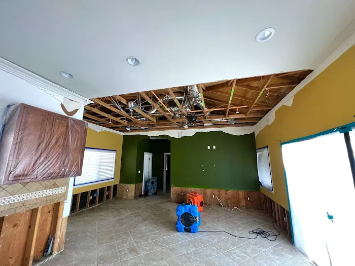 Green Planet Restoration San Diego Picture 1