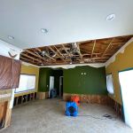 Green Planet Restoration San Diego