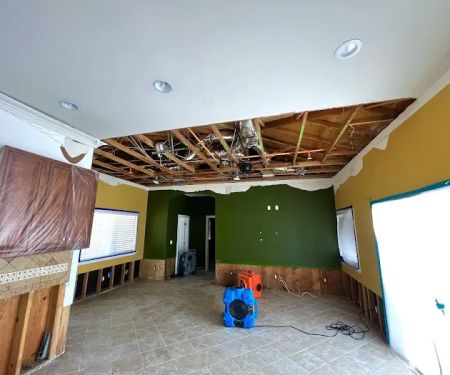 Green Planet Restoration San Diego